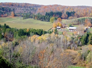 Fall in Hockley Valley, Ontario